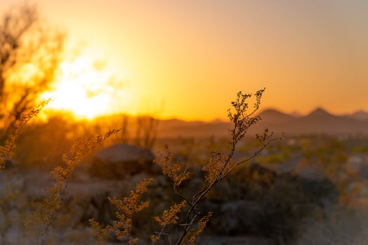 about the desert edit with jackie 