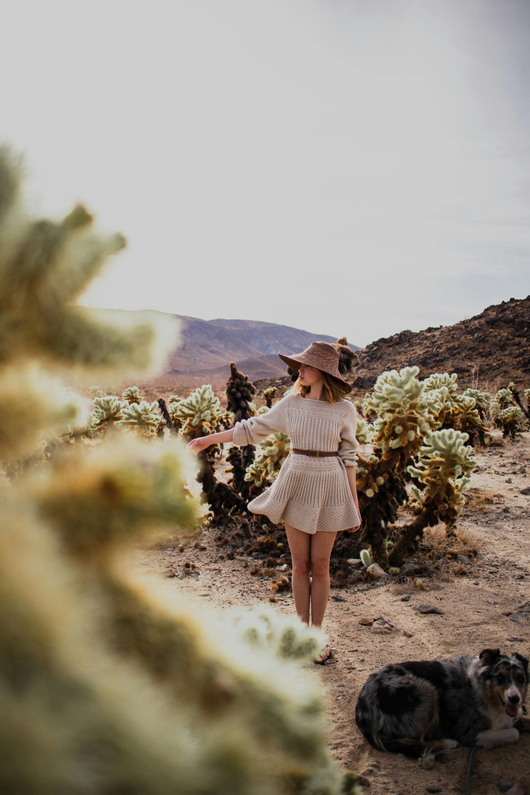 Explore Fashionable woman in desert with dog, amidst cactuses and vast landscape.