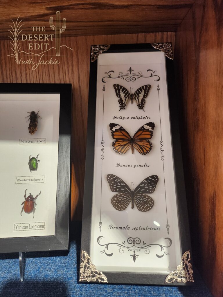 Arizona Museum of Natural History: A Fun Family Adventure in Mesa, Arizona 20260222 144708