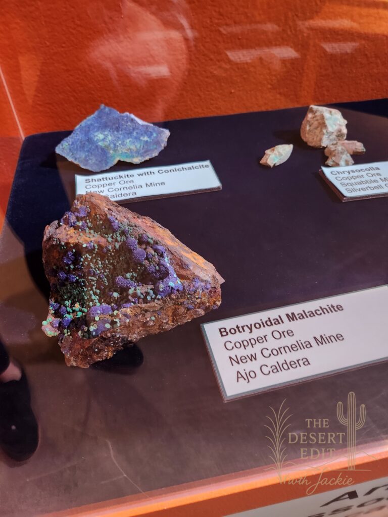 Arizona Museum of Natural History: A Fun Family Adventure in Mesa, Arizona 20260222 151324