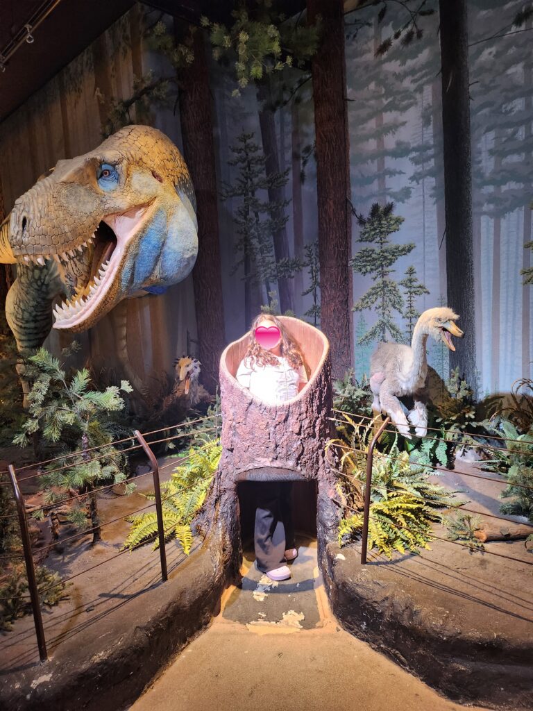Arizona Museum of Natural History: A Fun Family Adventure in Mesa, Arizona 20260222 151713