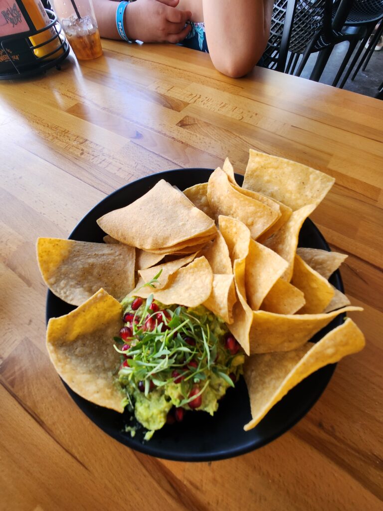 revel surf food