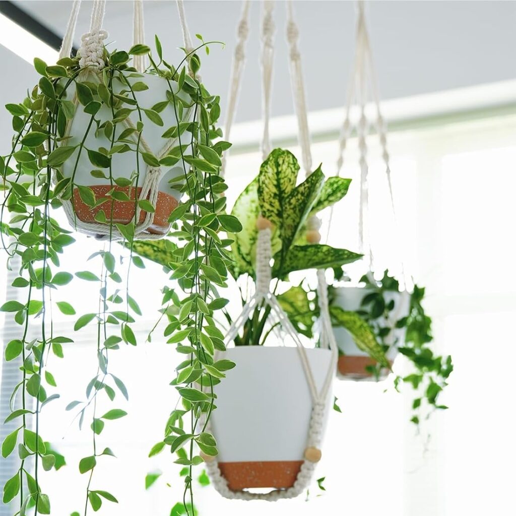 15 Desert Backyard Amazon Finds That Look Expensive (But Aren’t) macrame plant holder