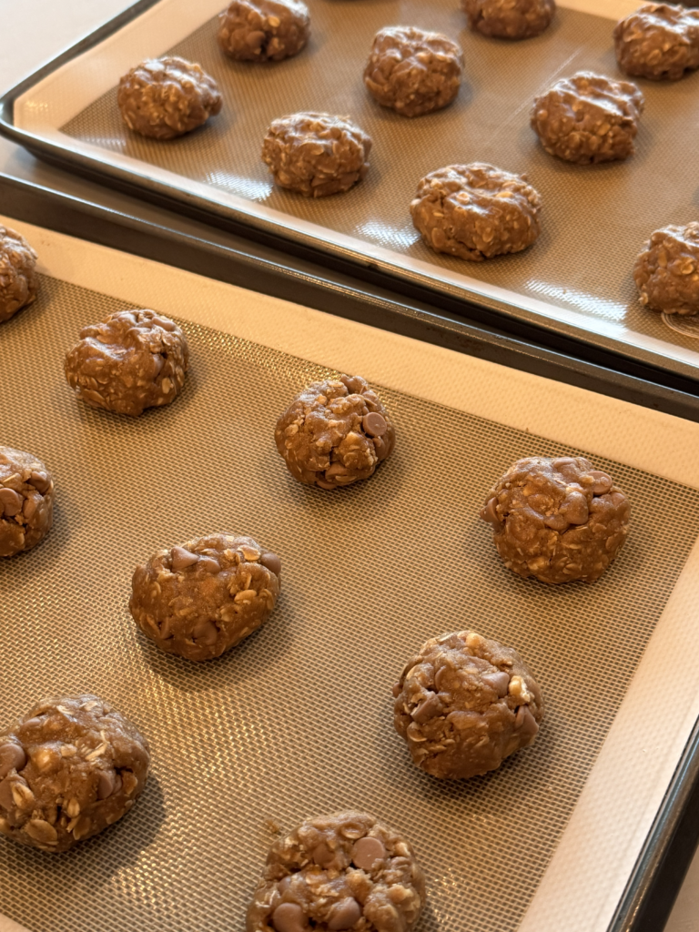 Caramel Sea Salt Campfire Oatmeal Cookies img 0997