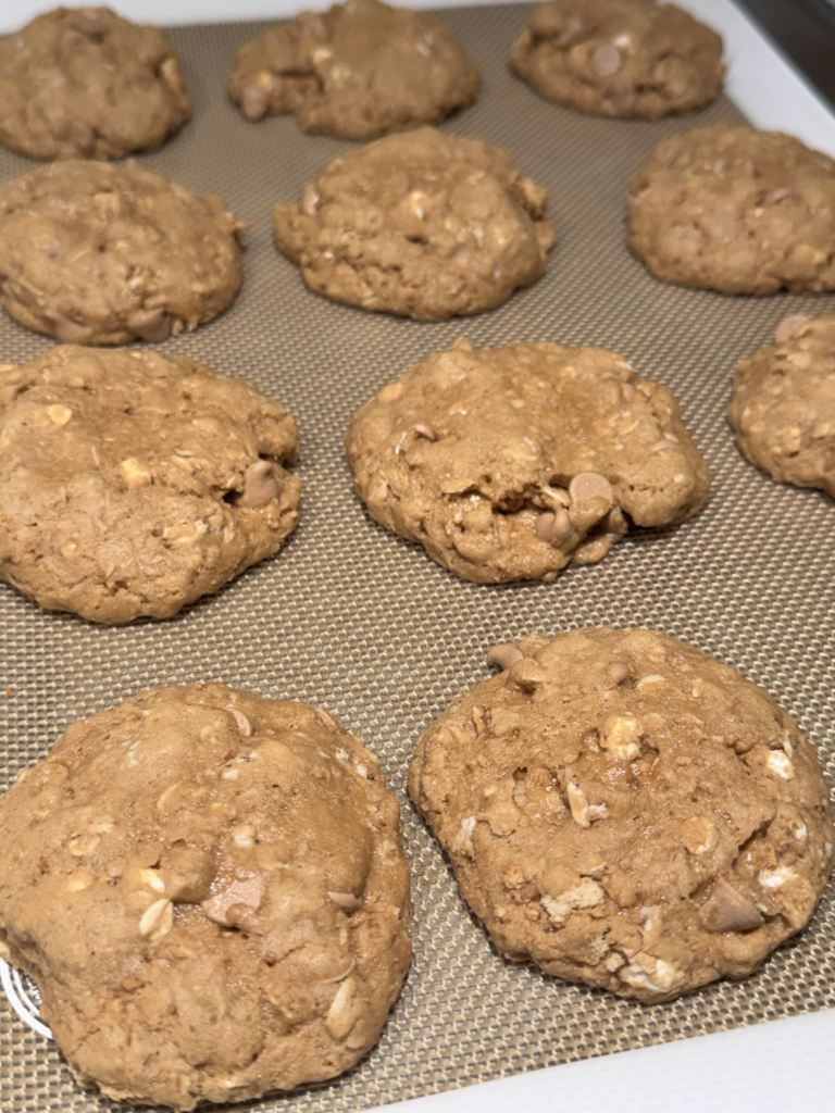 Caramel Sea Salt Campfire Oatmeal Cookies img 1001