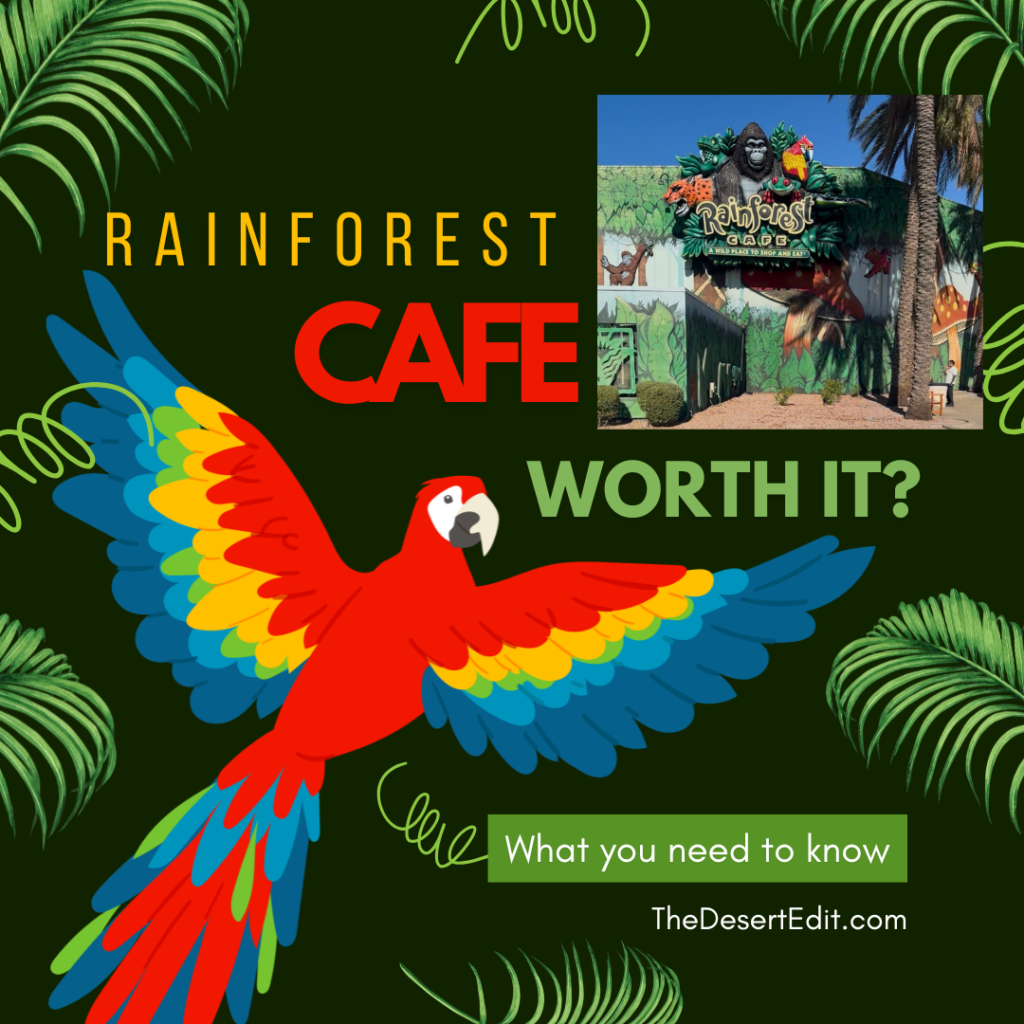 Is Rainforest Cafe at Arizona Mills Worth It? An Honest Family Review rainforest cafe worth it?