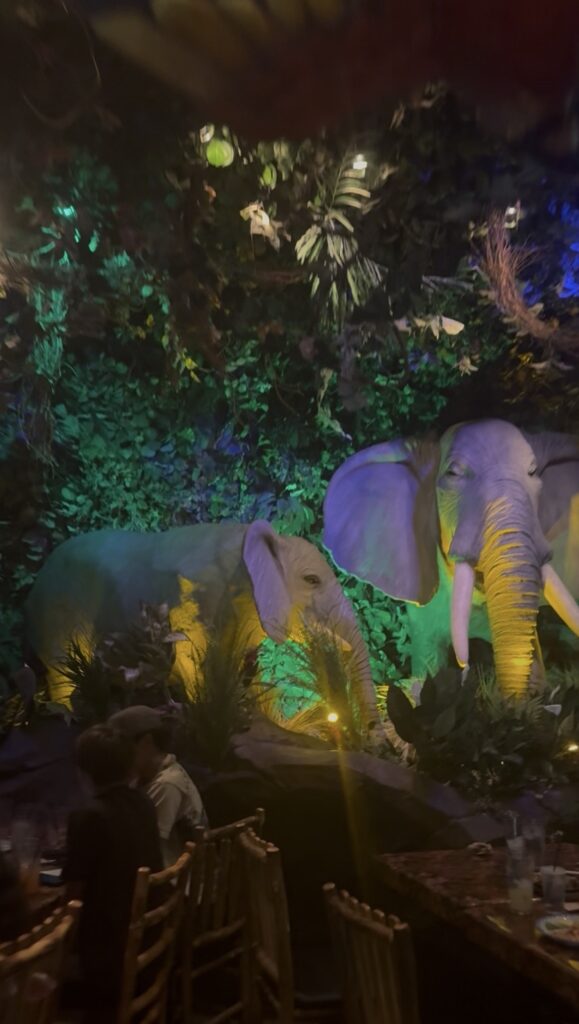 rainforest cafe