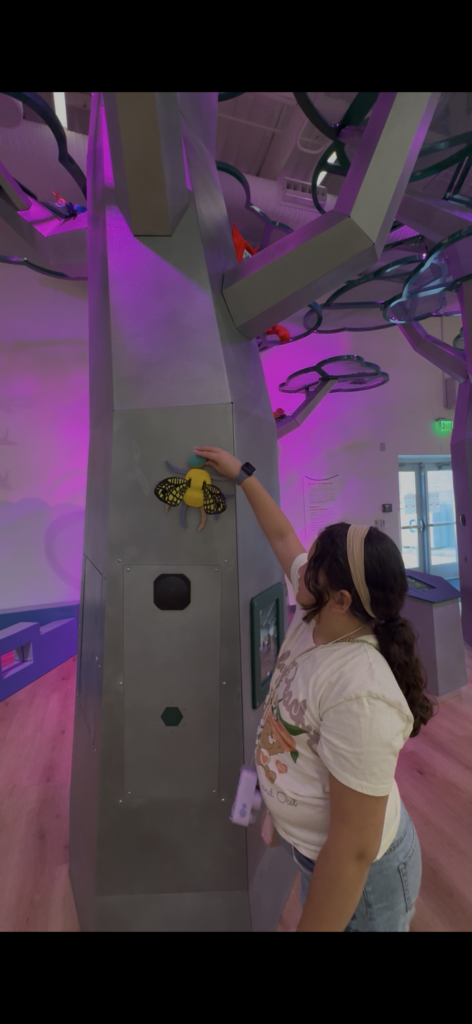idea museum