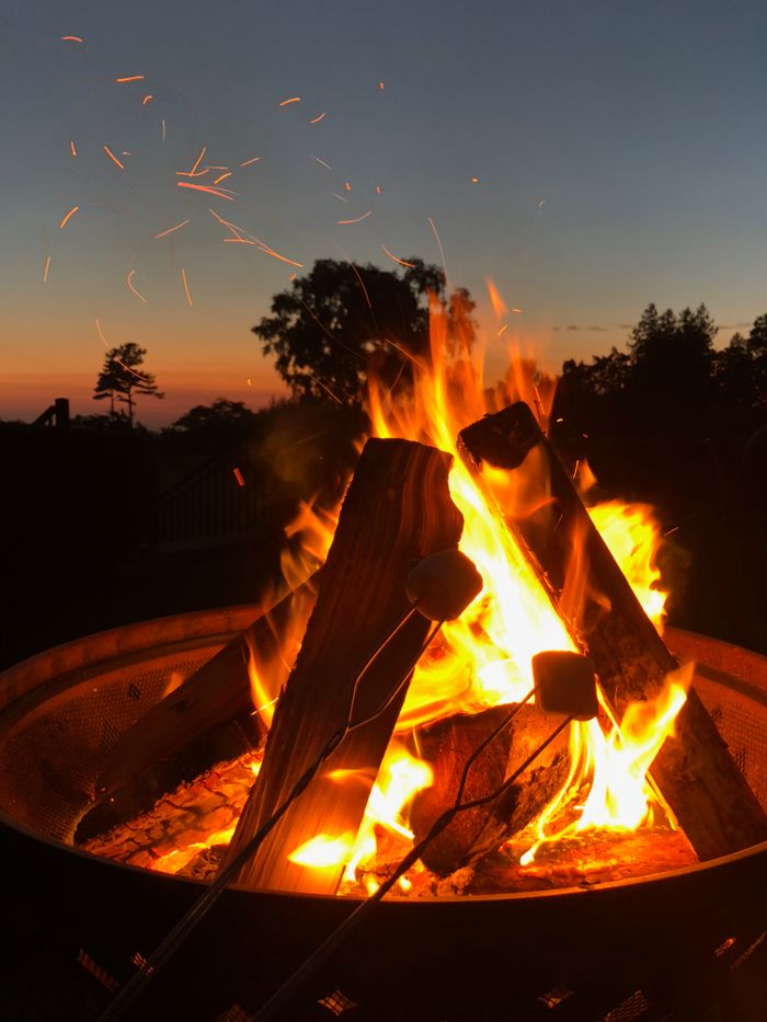 Summer Activities for Kids
