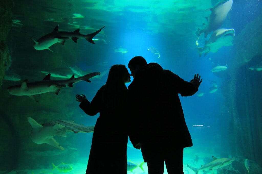 Silhouetted couple sharing a romantic moment in an aquarium with sharks swimming overhead.