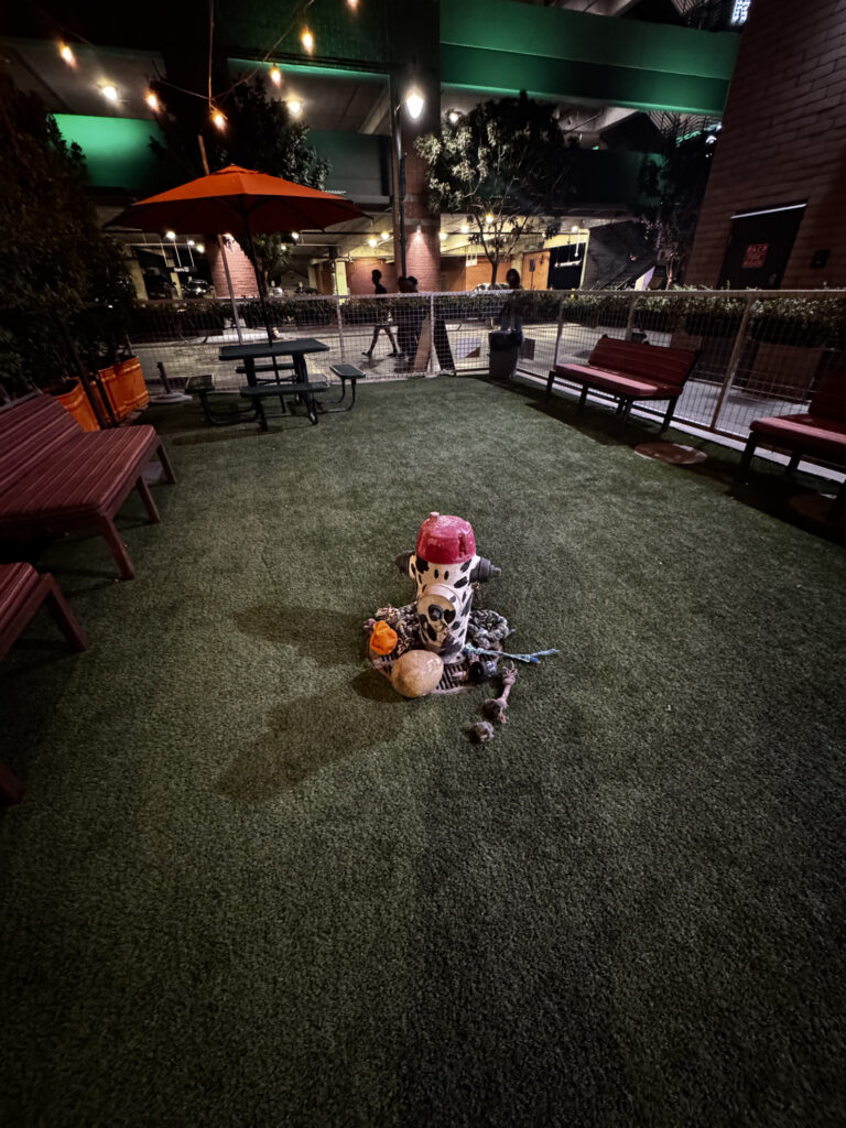 8 Best Patio Restaurants in Gilbert for Date Night and More img 4516