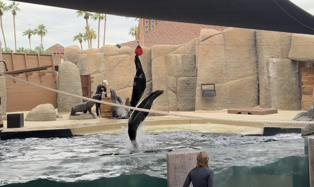 Wildlife World Zoo Review: Is It Worth the Drive From the East Valley? screenshot
