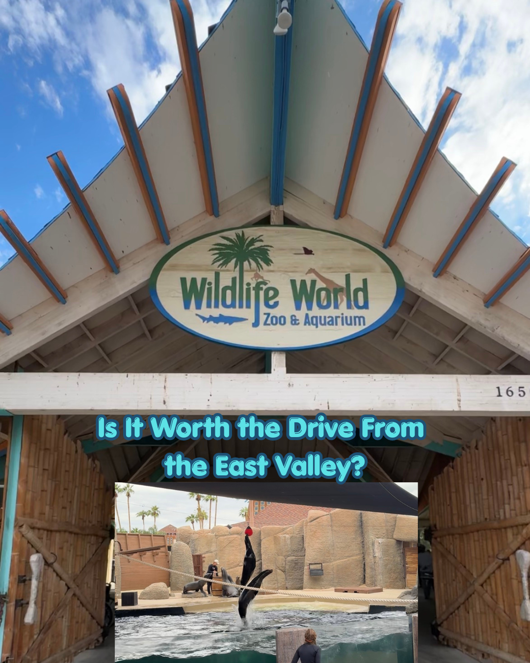 Wildlife World Zoo Review: Is It Worth the Drive From the East Valley?